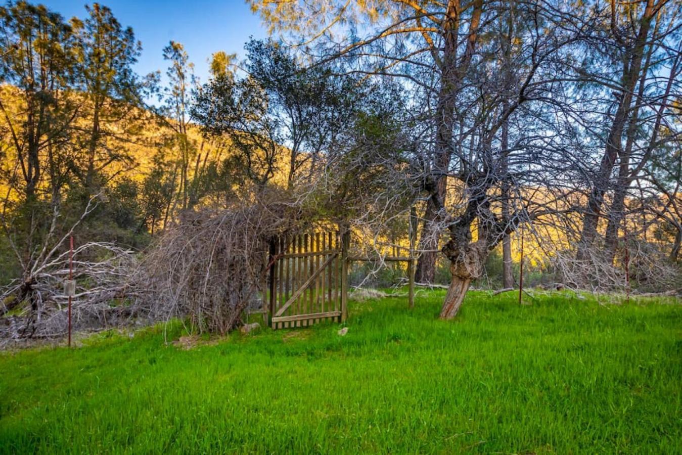 Sierra Vista Lookout Lodge With Creek, Waterfall And Waterholes, Minutes From Bass Lake And Yosemite South Gate North Fork Zewnętrze zdjęcie
