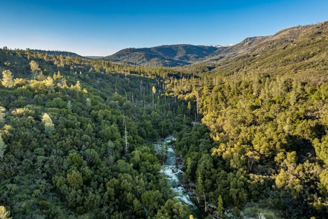 Sierra Vista Lookout Lodge With Creek, Waterfall And Waterholes, Minutes From Bass Lake And Yosemite South Gate North Fork Zewnętrze zdjęcie
